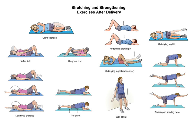 postnatel-exercise-to-strenghten-muscles
